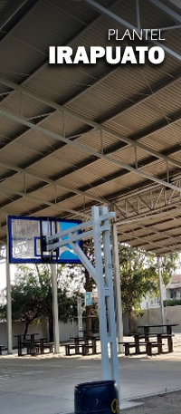 Irapuato